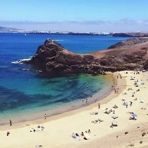 https://loft-volcanes.in-canary-islands.com